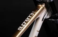 COMMENCAL SUPREME DH V5 GRADIENT GOLD -Accessoires Vélo Soldes 22SUPV5ALC4 04 2000